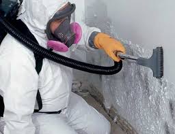 Professional Mold Prevention & Removal  in Paradise, CA